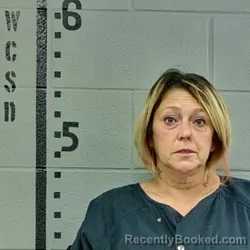 Mugshot of Dawn M Sweeney booked in White County, Indiana on October 15, 2026
