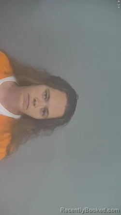 Mugshot of CHRISTINA ELIZABETH MILLER booked in Whitley County, Indiana on July 8, 2026