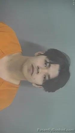 Mugshot of CESAR DAVID VAZQUEZ-GUZMAN booked in Whitley County, Indiana on March 28, 2026