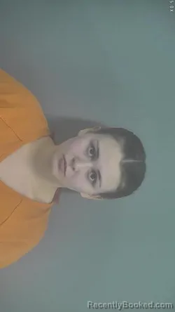 Booking photo from Whitley County, Indiana