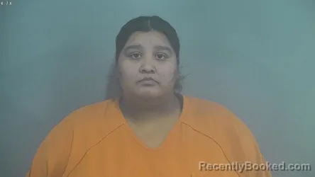 Mugshot of RUDY LYZETTE SEPULVEDA