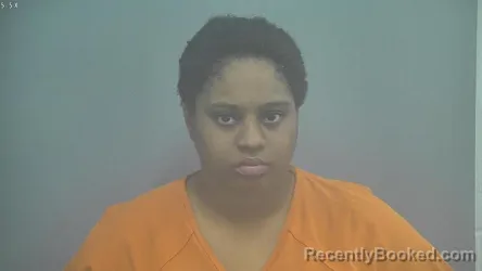 Mugshot of STORM ELIZABETH WASHINGTON booked in Whitley County, Indiana on July 29, 2026