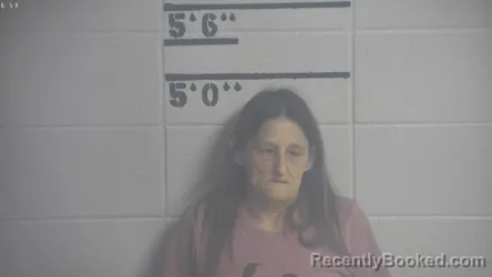 Mugshot of DEBRA KATHLEEN POLSTON booked in Adair County, Kentucky on March 27, 2026