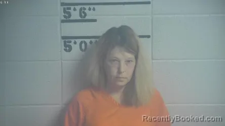 Mugshot of KAREN S KELLEY booked in Adair County, Kentucky on April 3, 2026