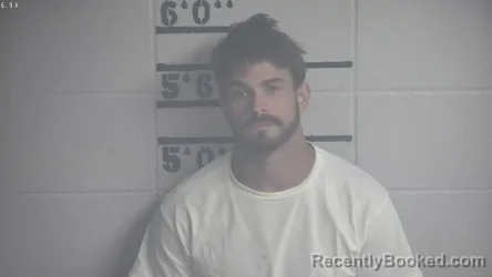 Mugshot of ETHAN P WILSON booked in Adair County, Kentucky on April 9, 2026