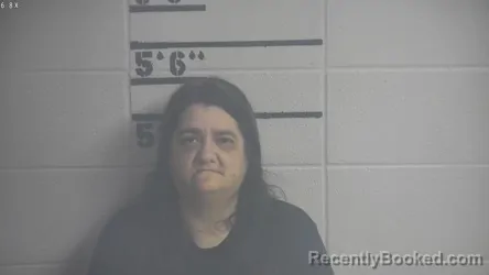 Mugshot of JENNIFER R SPARKS booked in Adair County, Kentucky on May 15, 2026