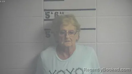 Mugshot of MINNIE L OVERSHINER booked in Adair County, Kentucky on May 20, 2026