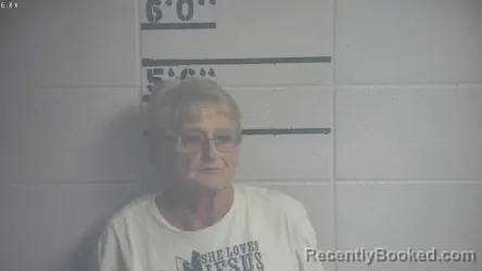 Mugshot of MINNIE L OVERSHINER booked in Adair County, Kentucky on May 27, 2026