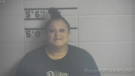 Mugshot of ASHLEY N DYER booked in Adair County, Kentucky on June 26, 2026