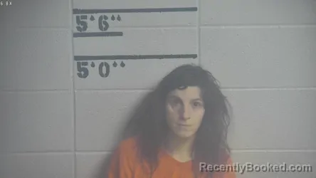 Mugshot of COURTNEY R VANN booked in Adair County, Kentucky on June 27, 2026