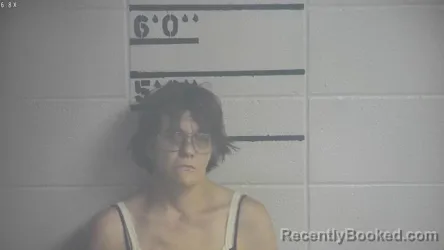 Mugshot of HOLLY J HARRIS booked in Adair County, Kentucky on June 30, 2026