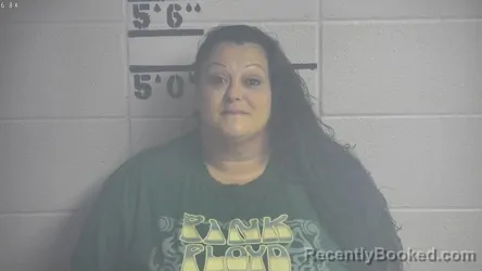 Mugshot of ASHLEY N DYER booked in Adair County, Kentucky on July 10, 2026