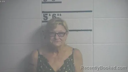 Mugshot of SUSIE A WILLIS booked in Adair County, Kentucky on July 13, 2026