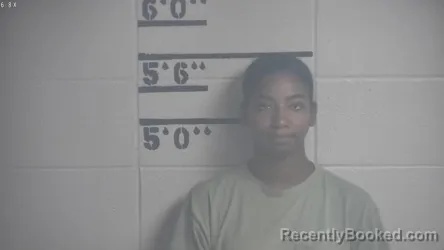 Mugshot of NEVAEH T DUMPHORD booked in Adair County, Kentucky on August 2, 2026