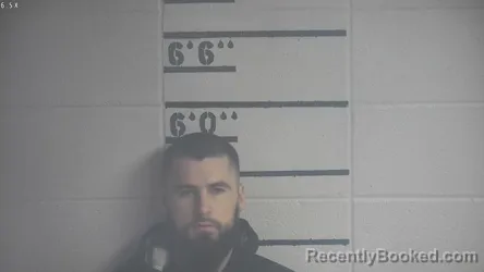 Mugshot of ALEKSEY V VOLOSHCHUK