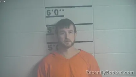 Mugshot of DANIEL LEE FAIR