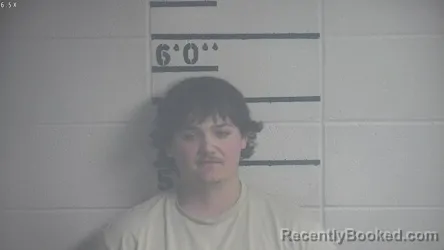 Mugshot of DAKOTA S HASKINS