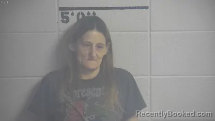 Mugshot of DEBRA KATHLEEN POLSTON