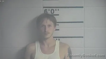 Mugshot of JOHNATHON J BRANHAM