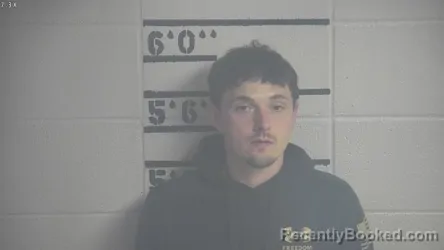 Mugshot of JESSE K BROWN