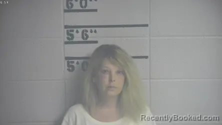 Mugshot of KAREN S KELLEY
