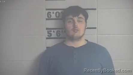 Mugshot of LONDON PRESLEY STIDHAM