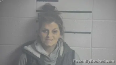 Mugshot of RAVEN M WILLIS