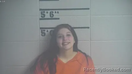 Mugshot of SARA N BOLIN