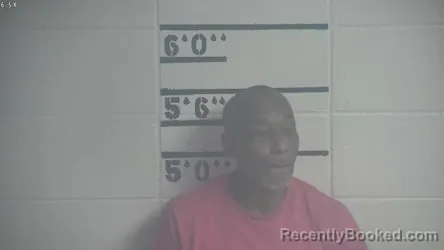 Mugshot of WILLIAM T OWSLEY