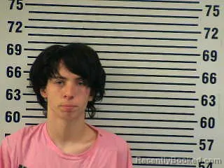 Mugshot of VINCENT PURVIS booked in Allen County, Kentucky on May 6, 2026