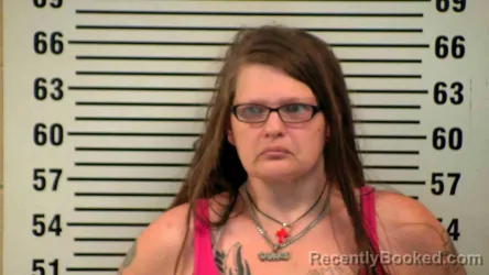 Mugshot of JENNIFER JOHNSON