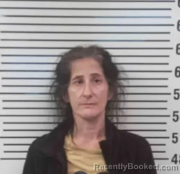 Mugshot of ROBYN DENNISTON