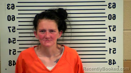 Mugshot of TAMMI CHERRY