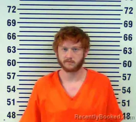 Mugshot of MATTHEW WOLFE