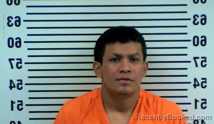 Mugshot of JUAN TOMAS