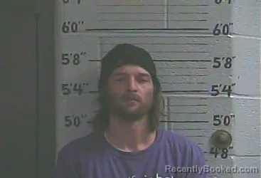 Mugshot of MICHAEL HEDSTROM