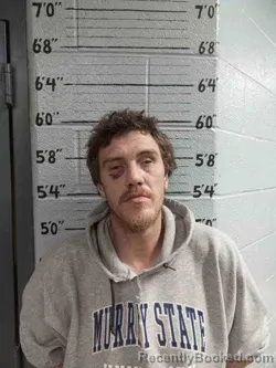 Mugshot of BRIAN HAWS