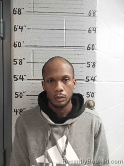 Mugshot of DEONNTEA ROBINSON