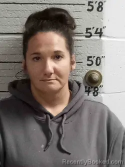 Mugshot of AMANDA SPEED