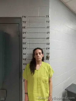 Mugshot of AMBRA BRADLEY