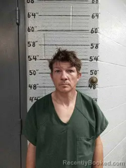 Mugshot of STEPHEN NORVILLE