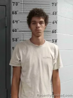 Mugshot of NATHAN SON booked in Ballard County, Kentucky on April 16, 2026