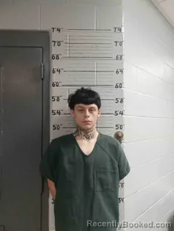 Mugshot of RONNIE JOHNSON booked in Ballard County, Kentucky on April 21, 2026