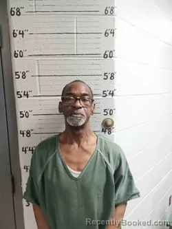 Mugshot of STEVE ROBERSON