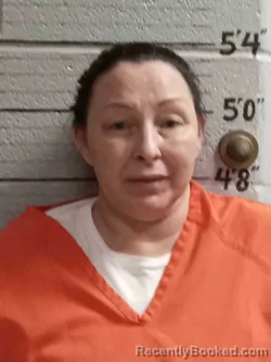 Mugshot of BRANDY REYNOLDS
