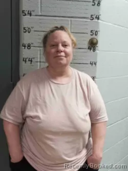 Mugshot of MICHELE ERICKSON