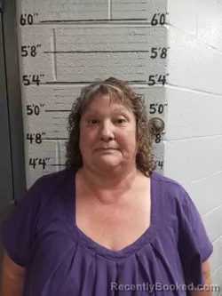 Mugshot of SHANNON COUNTS