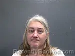 Mugshot of CHRISTINE DAWN TOLMAN booked in Lee County, North Carolina on July 9, 2026