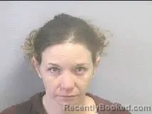 Mugshot of MARSHA DIANE JOHNSON booked in Lee County, North Carolina on June 30, 2026