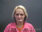 Mugshot of DESTINEE NICHOL THOMAS booked in Lee County, North Carolina on July 28, 2026